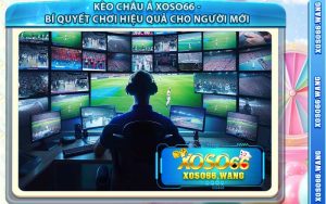 Kèo Châu Á Xoso66 - Bí Quyết Chơi Hiệu Quả Cho Người Mới