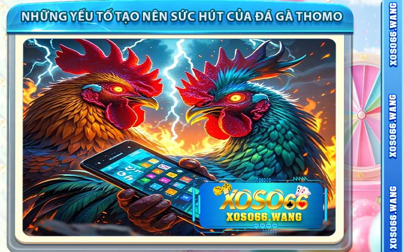 Những Yếu Tố Tạo Nên Sức Hút Của Đá Gà Thomo